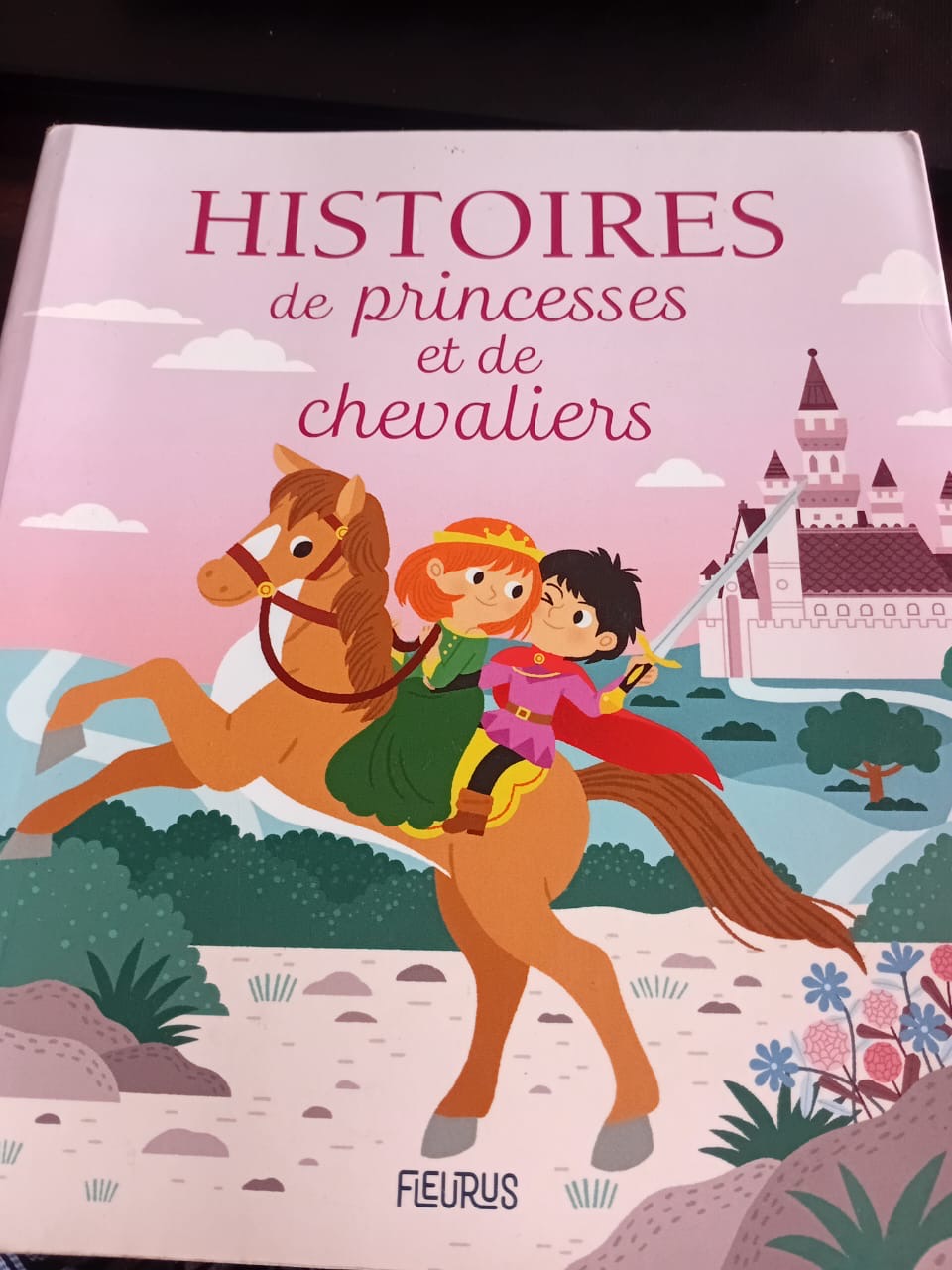 Couverture de Les histoires de princesses et de chevaliers